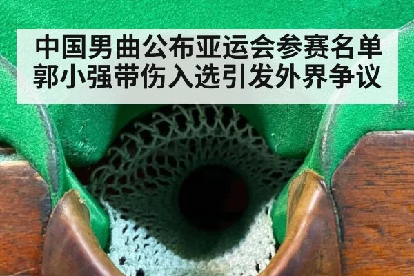 中国男曲公布亚运会参赛名单郭小强带伤入选引发外界争议